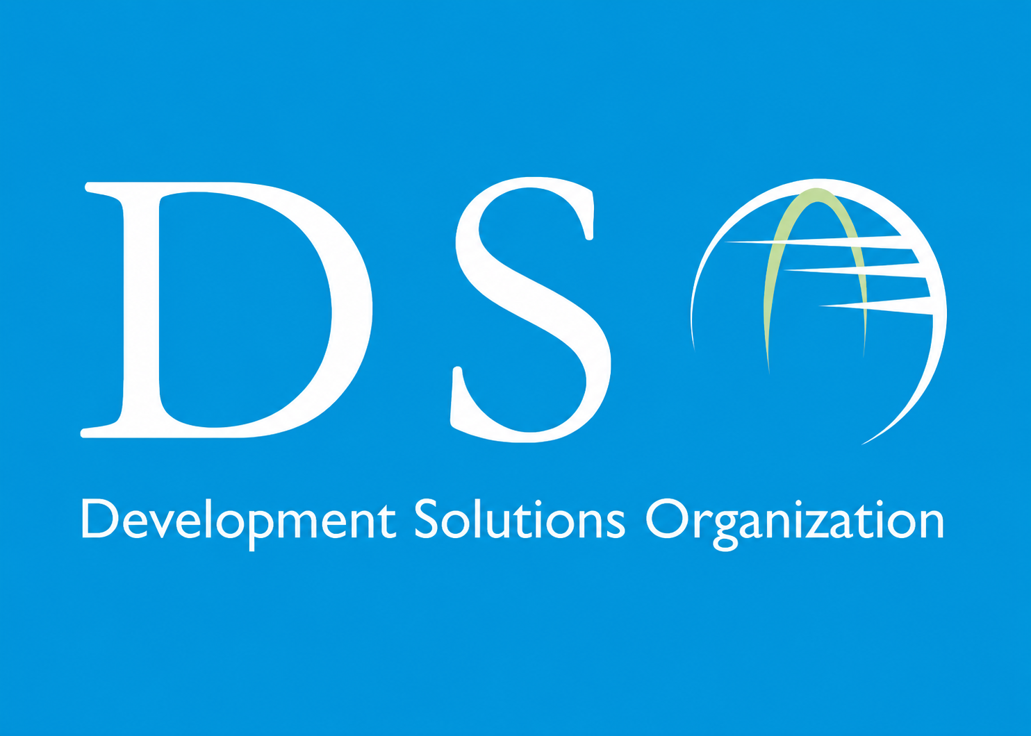 Development Solutions Organization